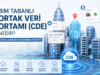 BIM Tabanlı Ortak Veri Ortamı (CDE) Nedir? Dijital İş Birliği ve Doküman Yönetimi